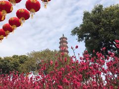 -广州莲花山旅游区