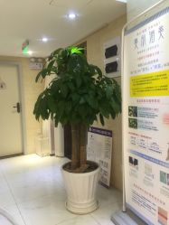 -银座Calla