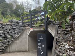 -怀托摩萤火虫洞