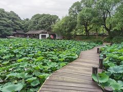 -兰亭风景区