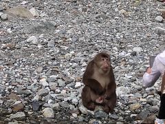-九峰山