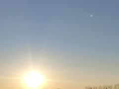 -盐城丹顶鹤湿地生态旅游区
