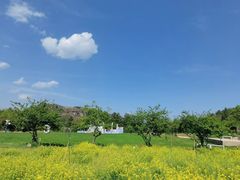 -名花谷生态庄园