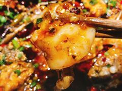 -正宗来凤鱼璧山兔(花卉园店)