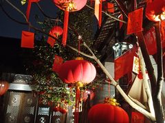 -三只耳火锅(宽窄巷子店)