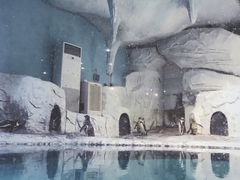 -蓬莱欧乐堡海洋极地世界