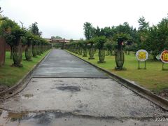 -东平国家森林公园