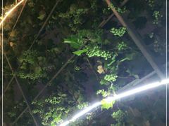 -伊隆斋(什刹海店)