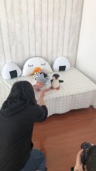 -RosyBaby萝西儿童摄影(园区店)