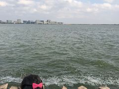 -上海滴水湖皇冠假日酒店
