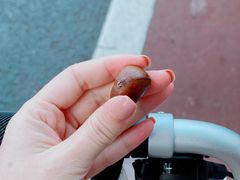 -陈记栗子(长宁路店)