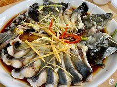 清蒸稀鳞鲑-煲来饱去冷水鱼