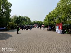 -上海海湾国家森林公园