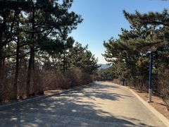 -棒棰岛宾馆景区