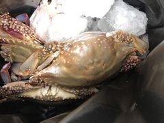 -锦绣大地生鲜食品厅