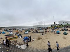 -碧海金沙