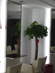 店内环境-ace hair salon top 无痕接发