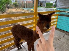 -美家乐农庄·露营·团建(大治路店)