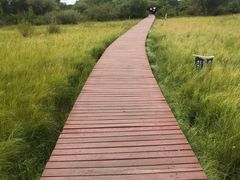 -塞罕坝国家级自然保护区