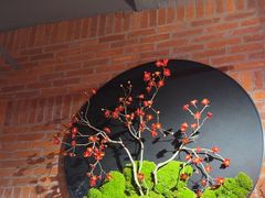 -鸽子窝(宋庄店)
