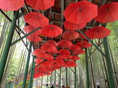 -陶祖圣境风景区