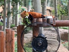 -北京野生动物园