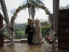 -济州岛泰迪熊博物馆