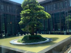 -上海崇明金茂凯悦酒店