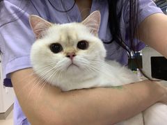 -立德动物医院·24小时中心(番禺区院区)