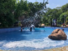 -广州锦绣香江度假别墅