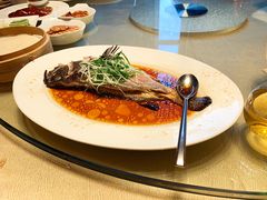 -上海金桥红枫万豪酒店-万豪中餐厅
