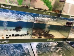 -永辉超市(泰州万达广场店)