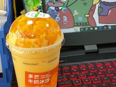 -雾与山茶(大禹城店)