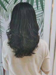 -镁连社·美联社