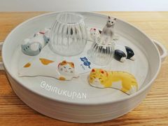 -猫里有甜