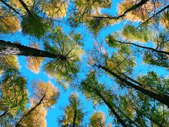 -长春市南湖公园