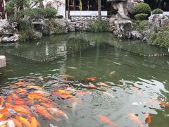 -檀园