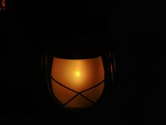 -夜火烤摊·东北烧烤酒场·老杨小黄鱼