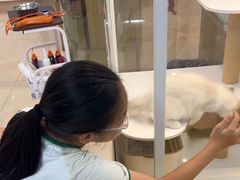-翊宠yipet猫狗购宠庄园