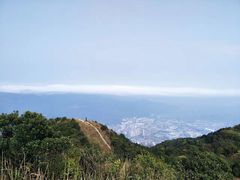 -梧桐山风景名胜区