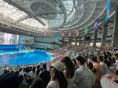 -海合安成都极地海洋公园