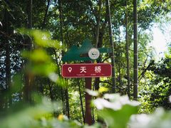 -莫干山风景区