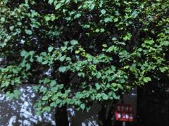 -福建民俗博物馆