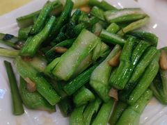 -鸿达渔港