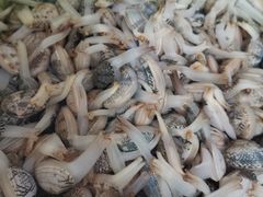 -东疆理想海岸沙滩景区