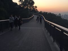 -金鸡山公园