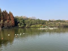 -天生桥景区