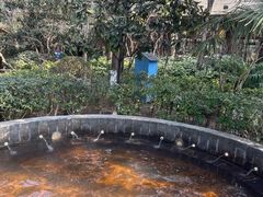 -西安国际创新人才交流中心•药浴温泉