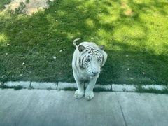 -北京野生动物园