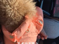 -瑞派·关忠动物医院(国瑞店)